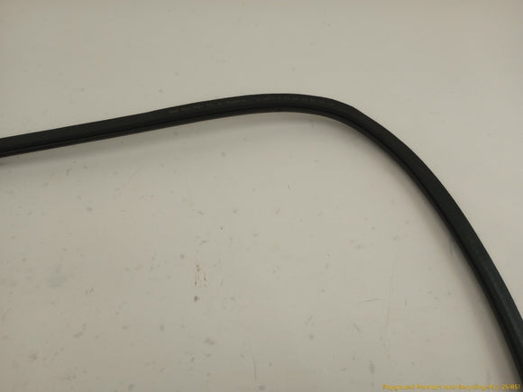 Audi S4 Passenger Right Front Door Molding