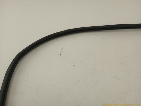 Audi S4 Driver Left Rear Door Molding