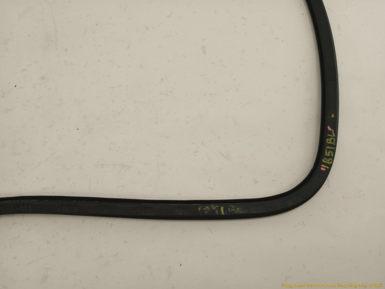 Audi S4 Driver Left Rear Door Molding