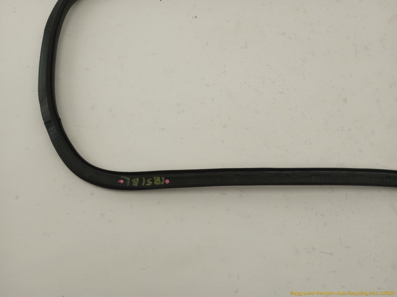 Audi S4 Driver Left Rear Door Molding