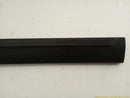 Ford Mustang Pair Of Front Door Sill Trim-10