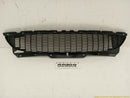 Mini Clubman Radiator Grille-1