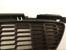 Mini Clubman Radiator Grille-6