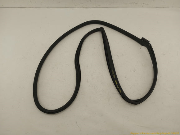 Mini Clubman Driver Left Front Door Molding