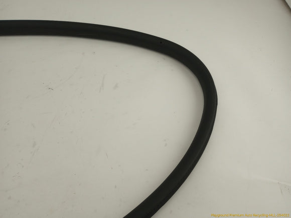 Mini Clubman Driver Left Front Door Molding