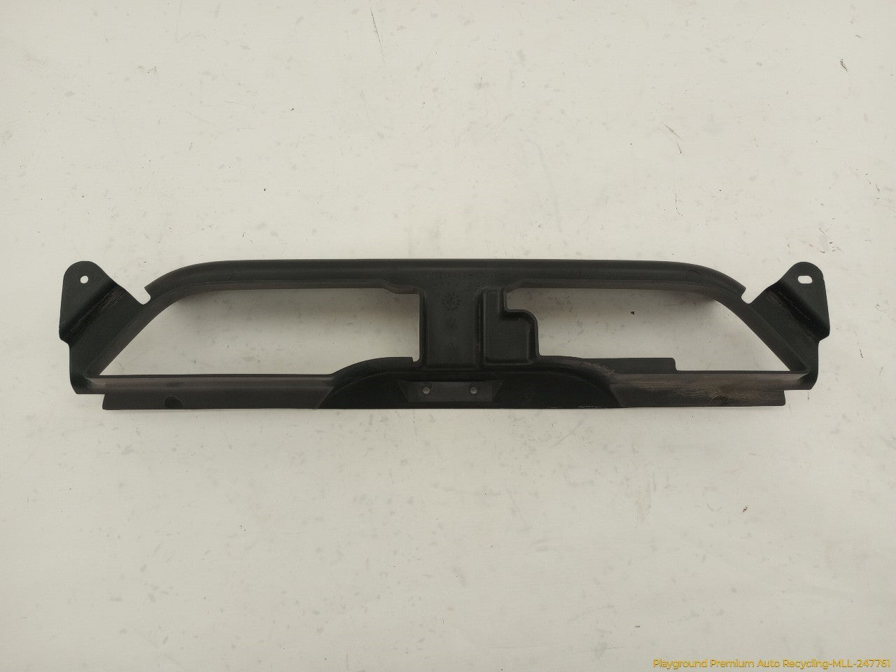 Ford Mustang Radiator Grille - 0