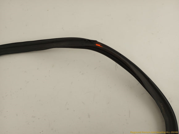 Volkswagen CC Trunk Lid Molding