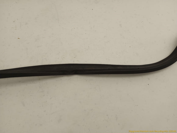 Volkswagen CC Trunk Lid Molding
