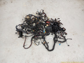 Volkswagen CC Vehicle Body Wire Harness