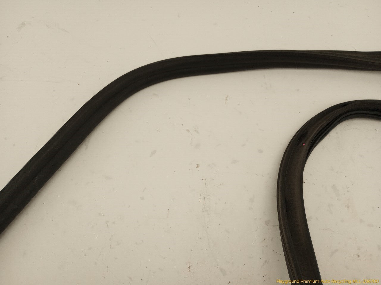 Volkswagen Beetle Trunk Lid Molding