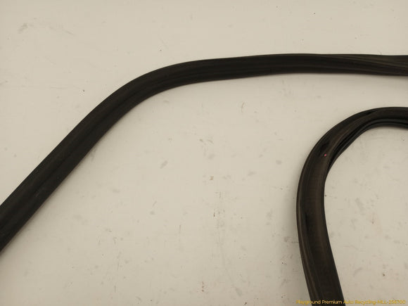 Volkswagen Beetle Trunk Lid Molding
