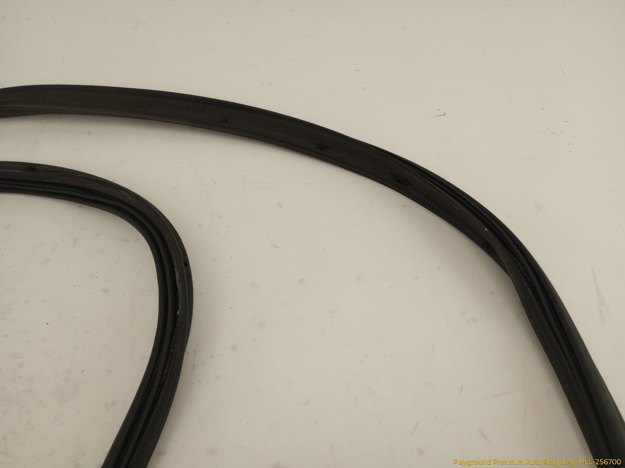 Volkswagen Beetle Trunk Lid Molding