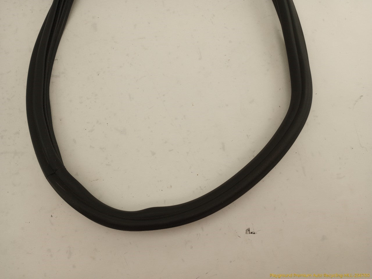 Volkswagen Beetle Trunk Lid Molding