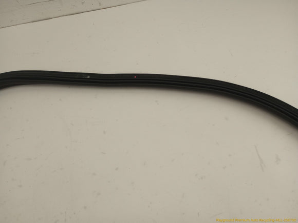 Volkswagen Beetle Trunk Lid Molding