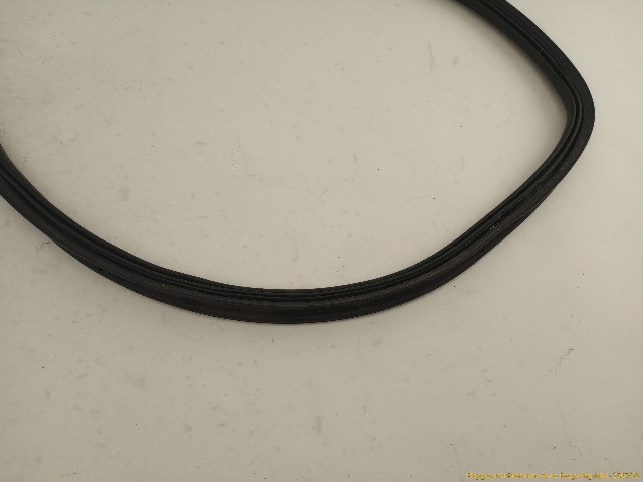 Volkswagen Beetle Trunk Lid Molding