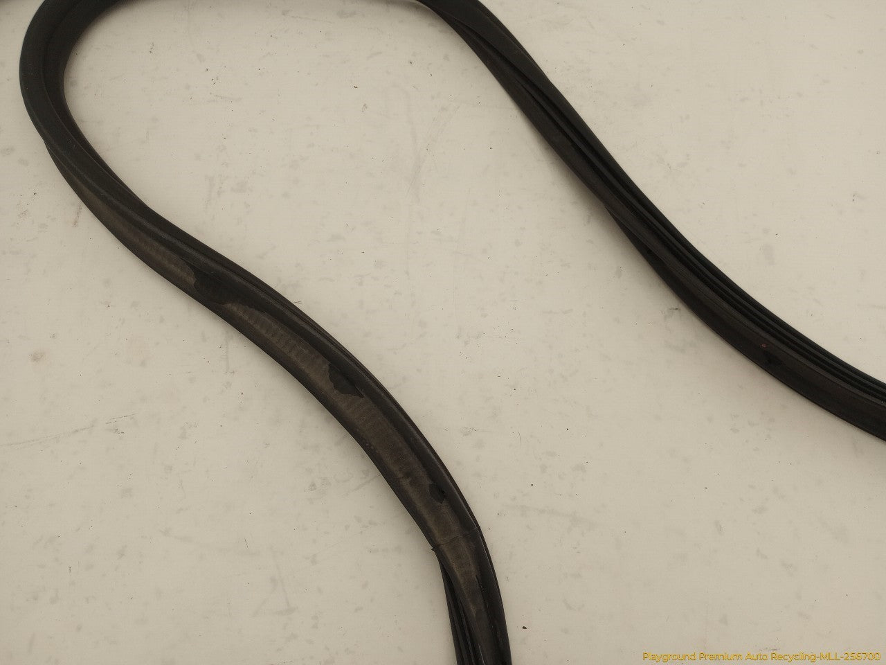 Volkswagen Beetle Trunk Lid Molding