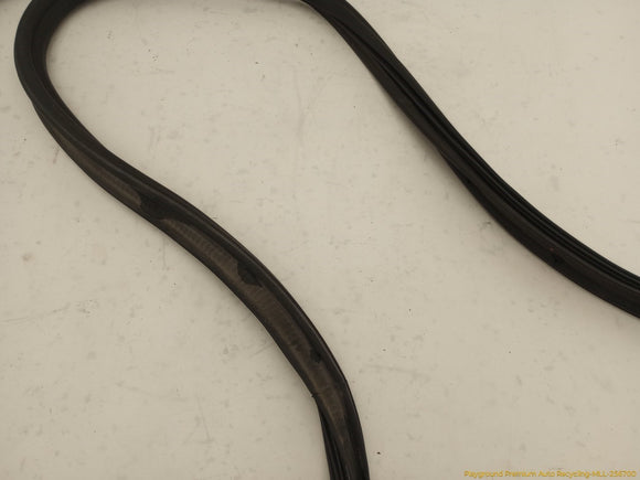 Volkswagen Beetle Trunk Lid Molding