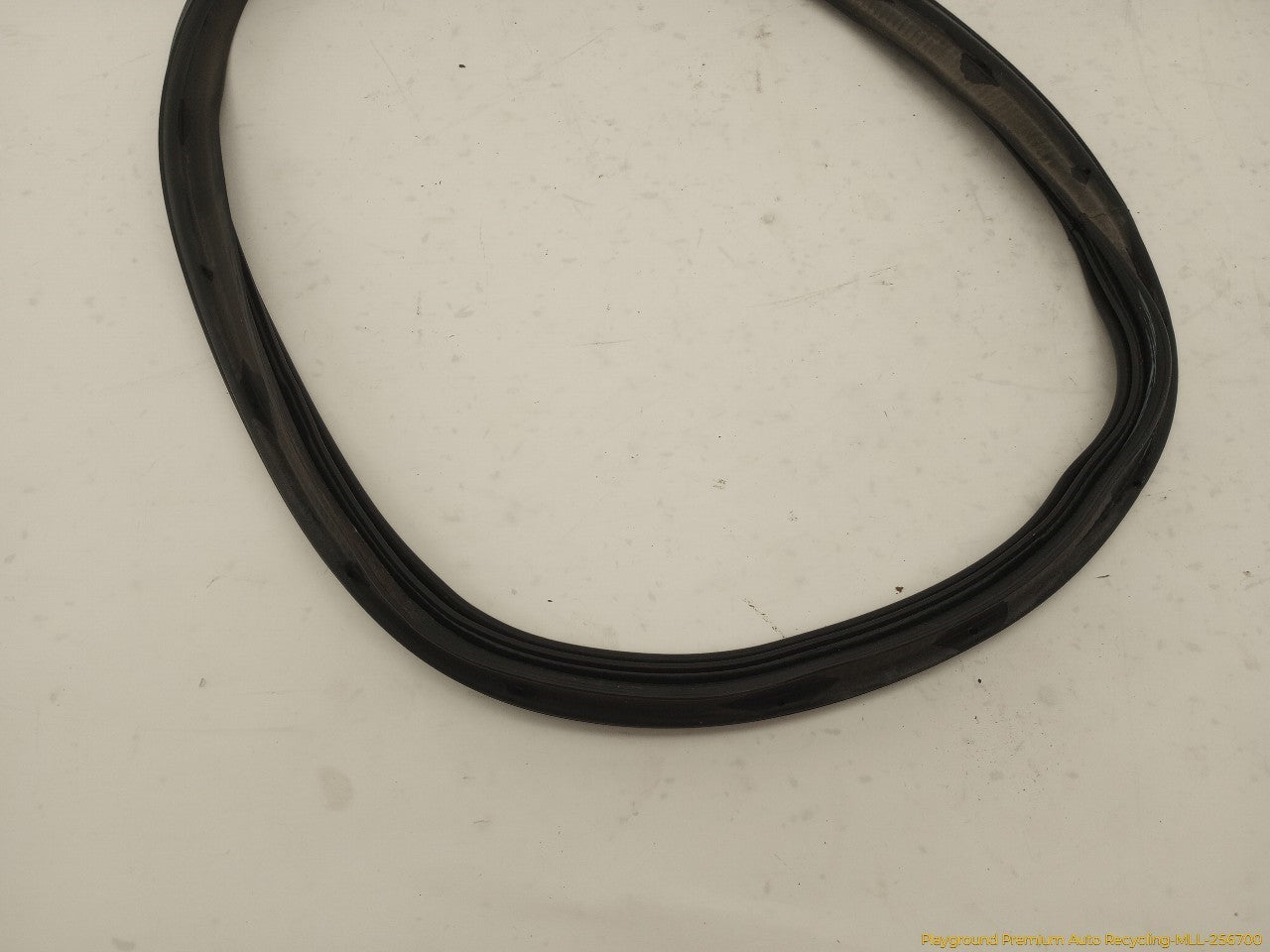 Volkswagen Beetle Trunk Lid Molding
