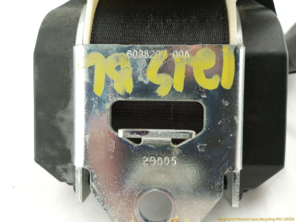 Volkswagen Beetle Pair Of Rear Seat Belt Retractors & Buckles