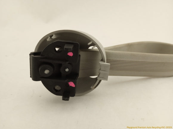 Volkswagen Beetle Pair Of Interior Grab Handles