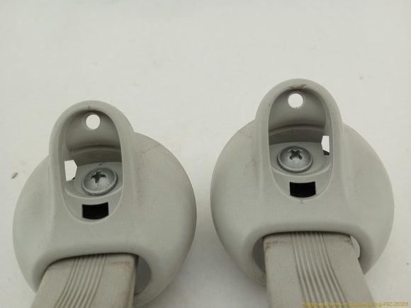 Volkswagen Beetle Pair Of Interior Grab Handles