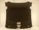 Volkswagen Beetle Headliner-1