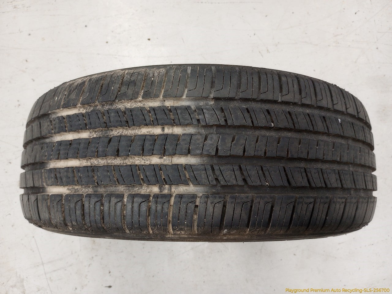 Volkswagen Beetle Single Kenda Kenitica Touring A/S Tires