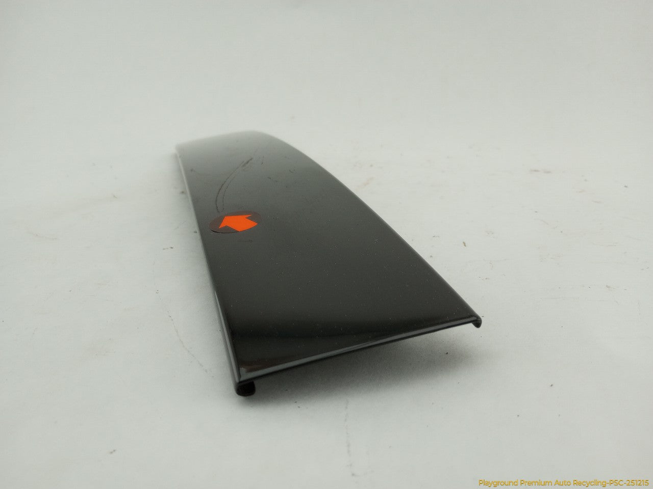Volkswagen Beetle Passenger Right Front Exterior Door Window Trim