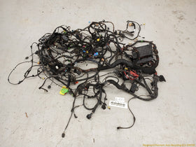 Volkswagen Beetle Vehicle Body Wire Harness