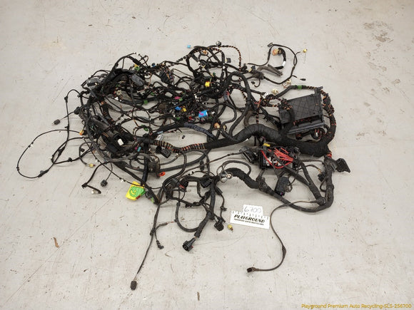 Volkswagen Beetle Vehicle Body Wire Harness