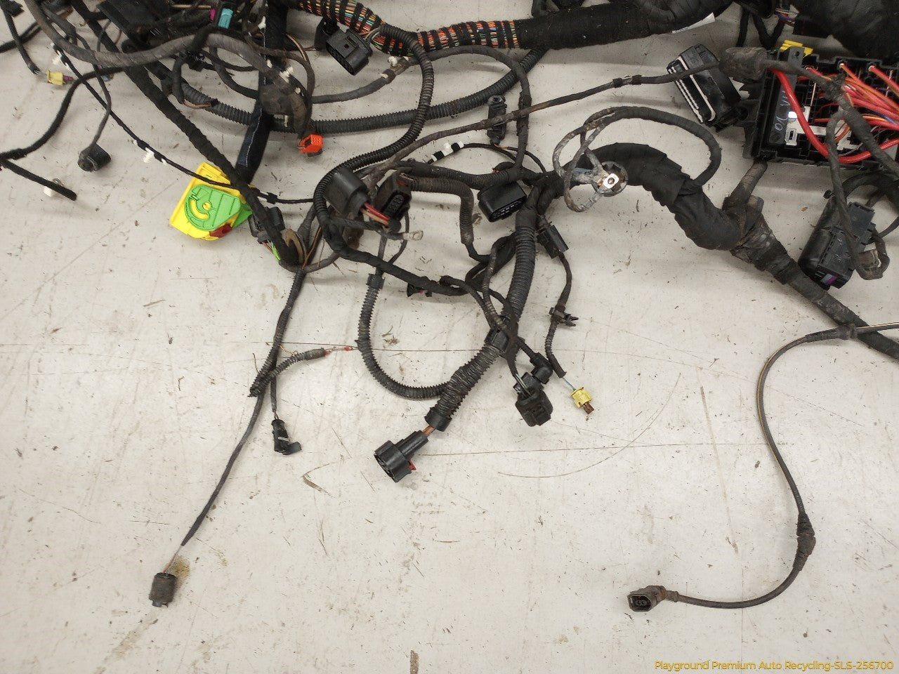Volkswagen Beetle Vehicle Body Wire Harness - 0