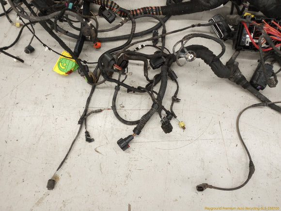 Volkswagen Beetle Vehicle Body Wire Harness