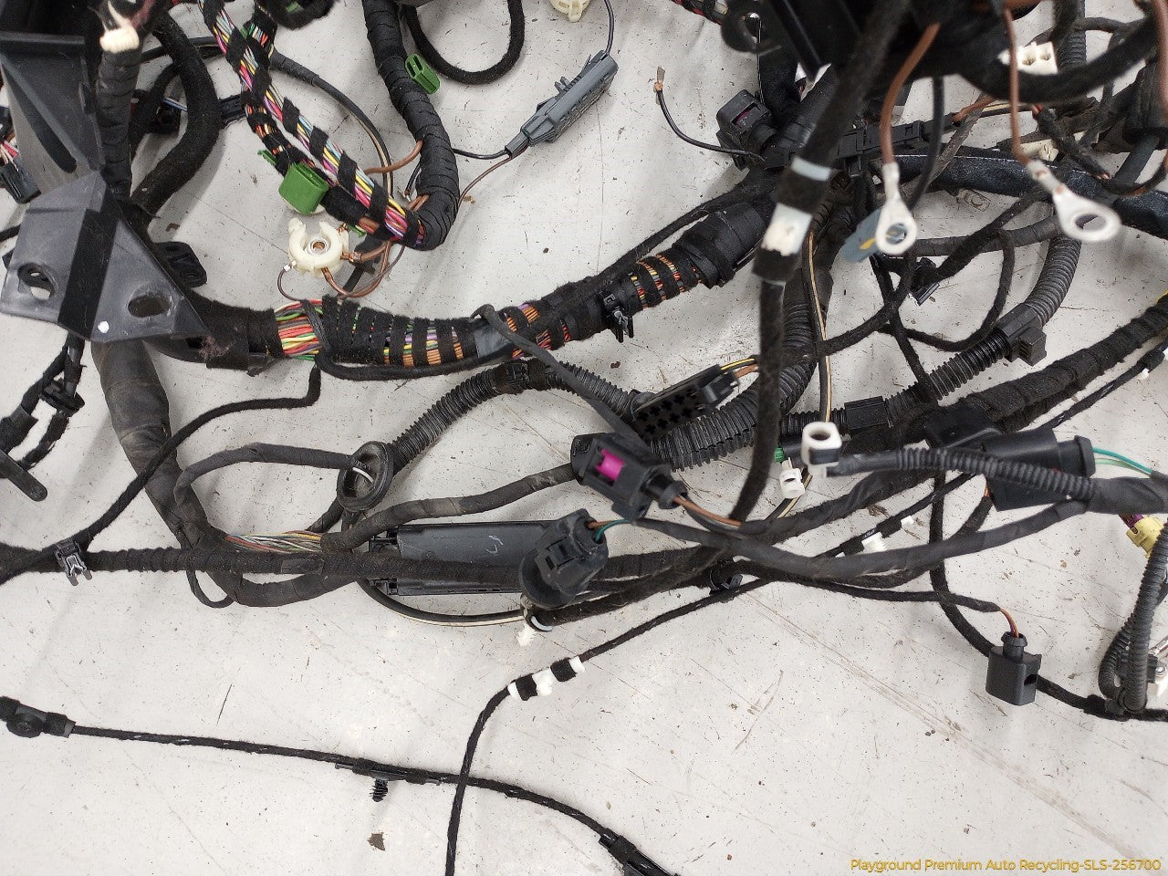 Volkswagen Beetle Vehicle Body Wire Harness