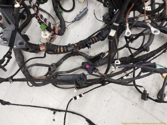 Volkswagen Beetle Vehicle Body Wire Harness