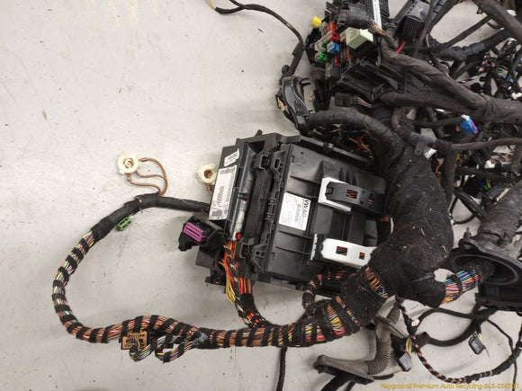 Volkswagen Beetle Vehicle Body Wire Harness