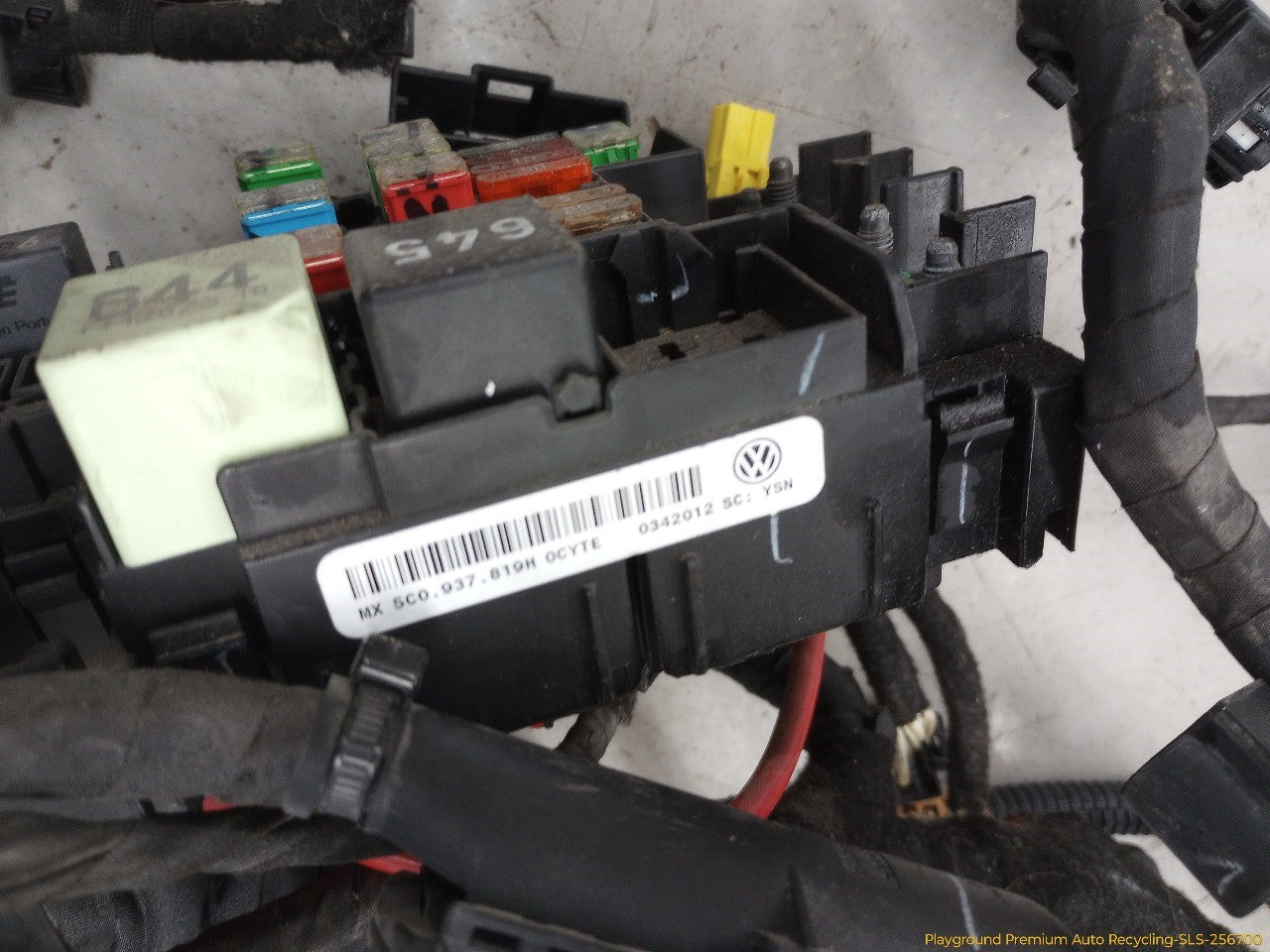 Volkswagen Beetle Vehicle Body Wire Harness
