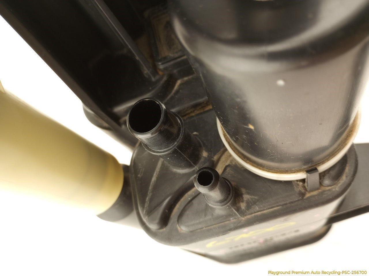 Volkswagen Beetle Fuel Vapor Charcoal Canister