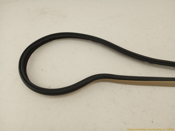 Acura TSX Set Of 4 Front & Rear Door Moldings