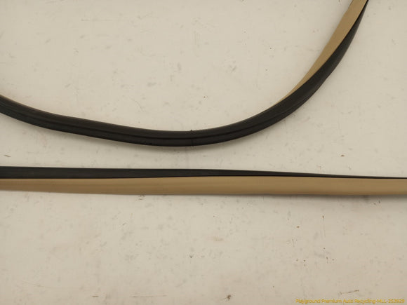 Acura TSX Set Of 4 Front & Rear Door Moldings