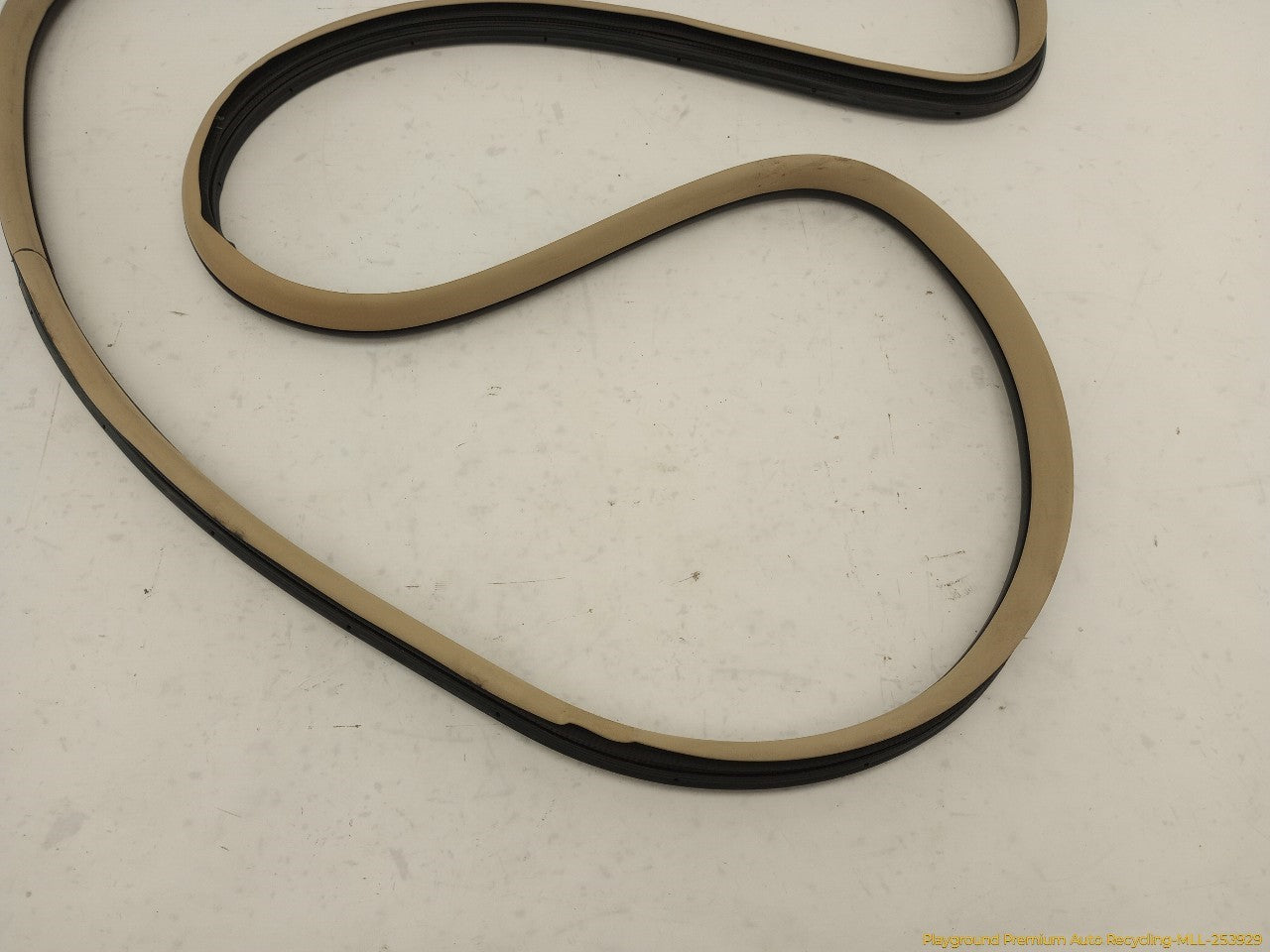 Acura TSX Set Of 4 Front & Rear Door Moldings