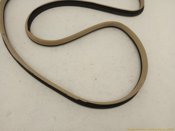 Acura TSX Set Of 4 Front & Rear Door Moldings