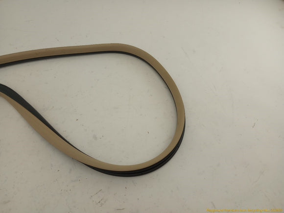 Acura TSX Set Of 4 Front & Rear Door Moldings