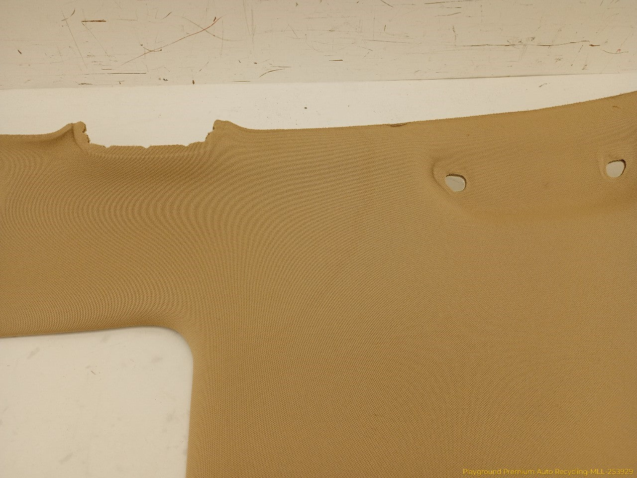 Acura TSX Headliner