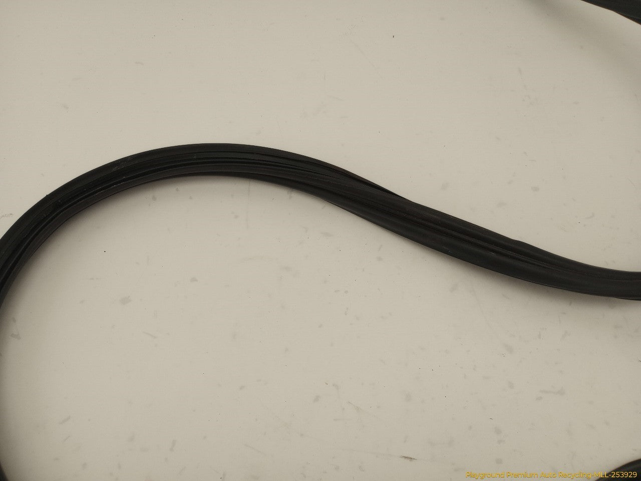 Acura TSX Trunk Lid Molding