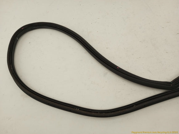 Volkswagen Beetle Trunk Lid Molding