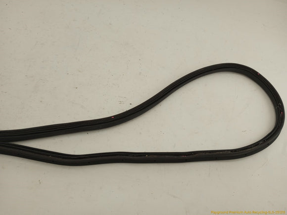 Volkswagen Beetle Trunk Lid Molding