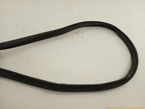 Volkswagen Beetle Trunk Lid Molding