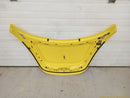 Volkswagen Beetle Hood Bonnet Panel-10
