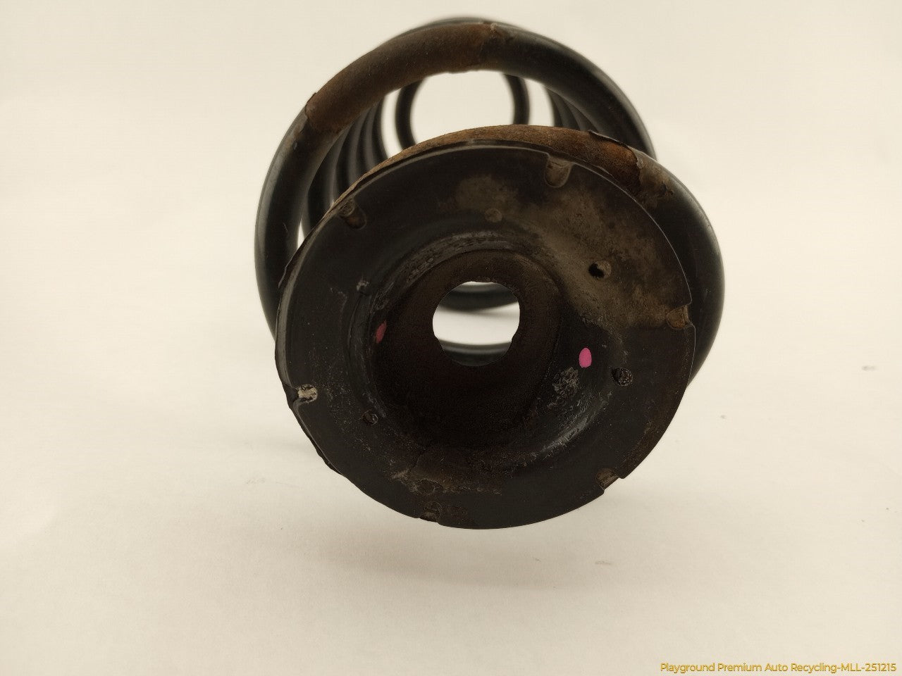 Volkswagen Beetle Pair Of Rear Coil Springs