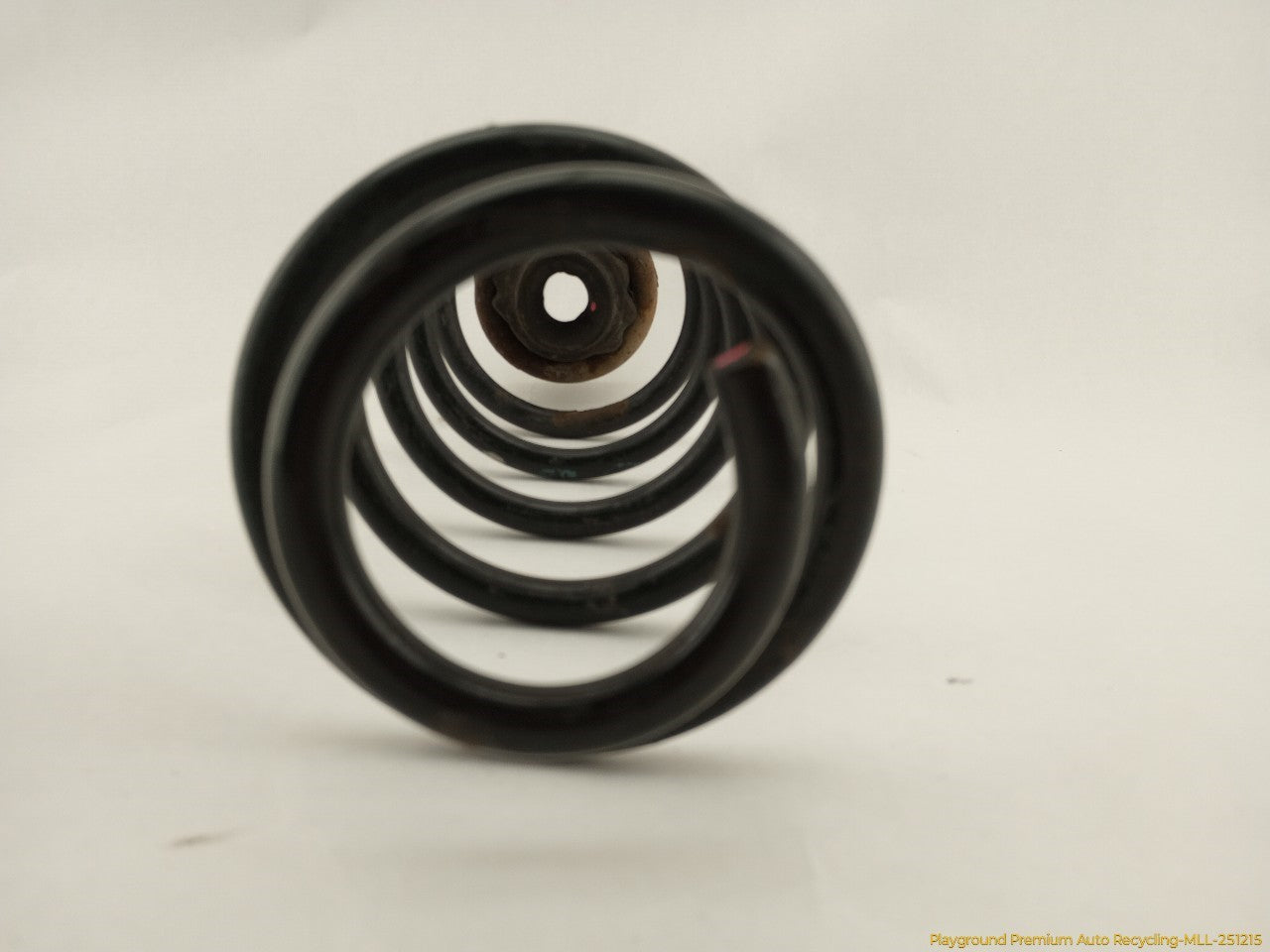 Volkswagen Beetle Pair Of Rear Coil Springs